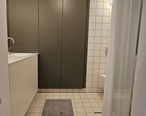 2 værelses lejlighed i København V