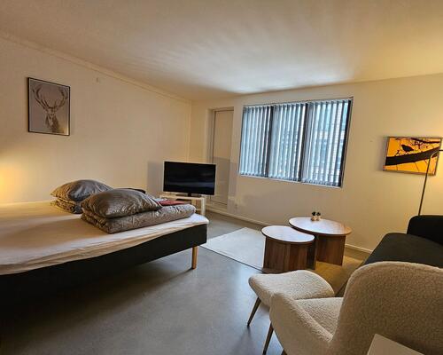 2 værelses lejlighed i København V