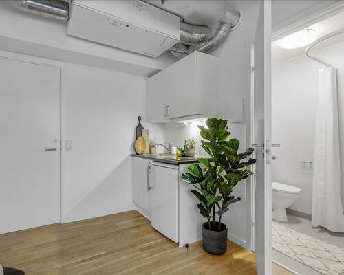 2 værelses lejlighed i Frederiksberg