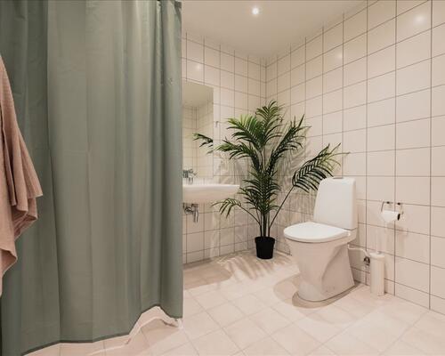 2 værelses lejlighed i Odense V