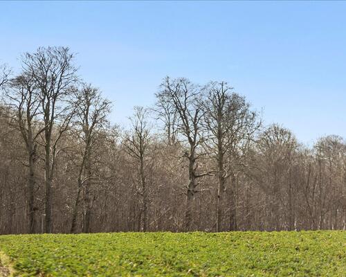 3 værelses lejlighed i Augustenborg