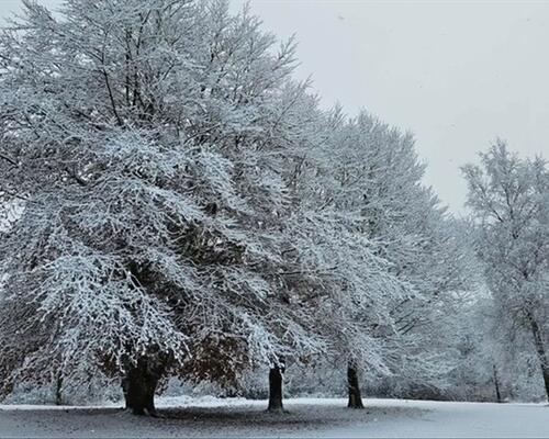 12 værelses hus i Egtved