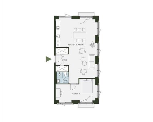 2 værelses lejlighed i København S