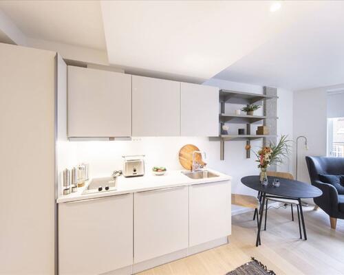 1 værelses lejlighed i København K