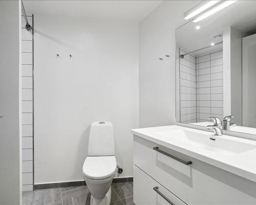 2 værelses lejlighed i Odense C