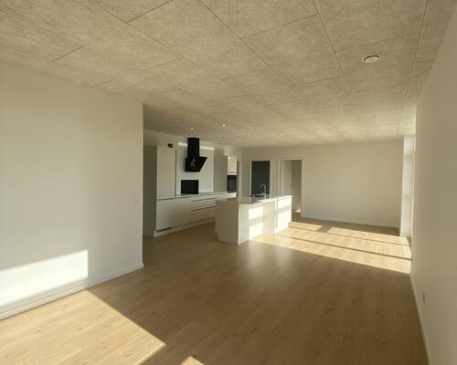 Nyt, attraktivt boligbyggeri i Arnbjerg - Brudelyset