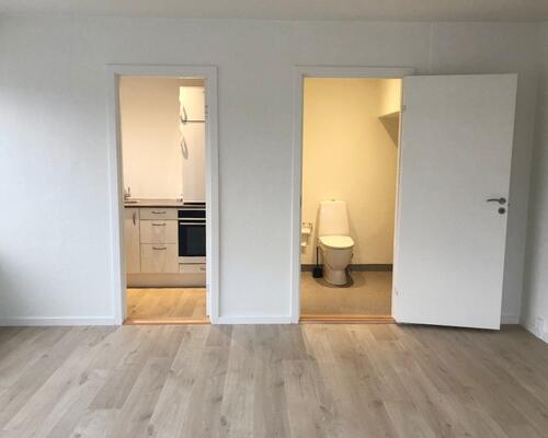 1 værelses lejlighed i Odense centrum