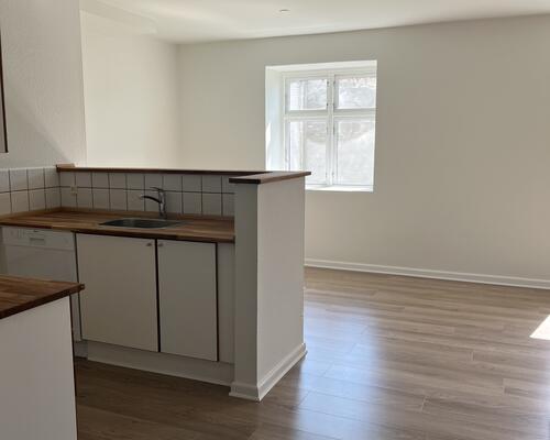 2 vær. stuelejlighed i Skibhuskvarteret i Odense C