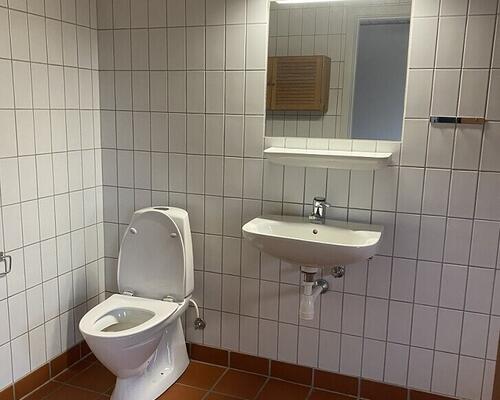 2 værelses hus i Roslev