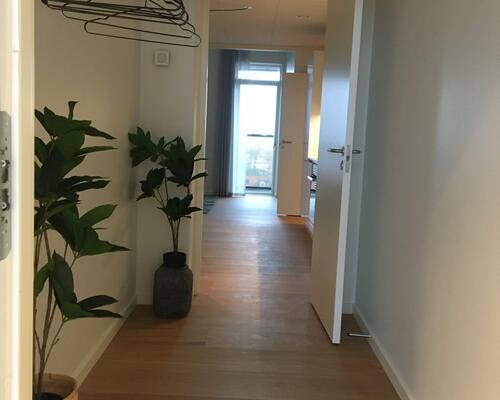 2 værelses lejlighed i Viborg