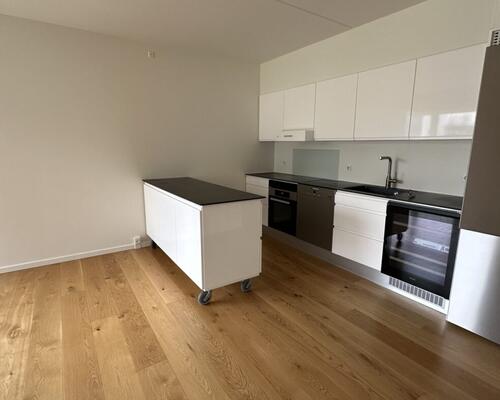 2 værelses – Munkebjergvænget 18, 3. tv – Odense M