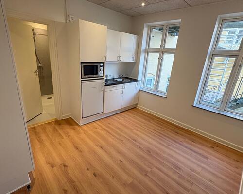 Nyrenoveret 1. værelses pendlerlejlighed