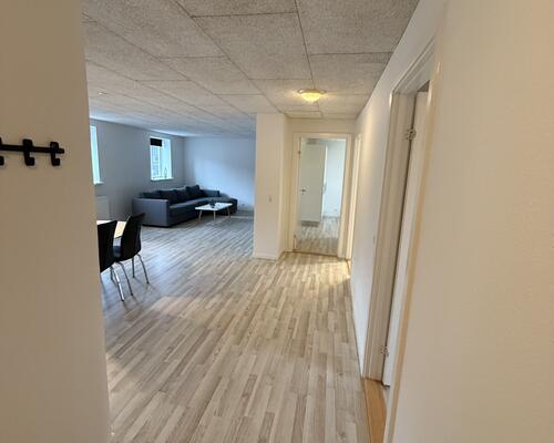 Møbleret lejlighed med 4 soveværelser i Torvegade