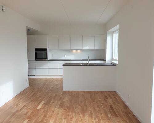 Lys 2 vær. med sydvendt altan - skov og strand som nabo