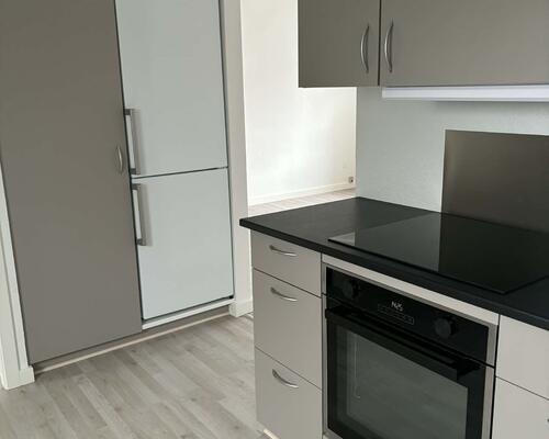 1 værelses lejlighed i Holstebro