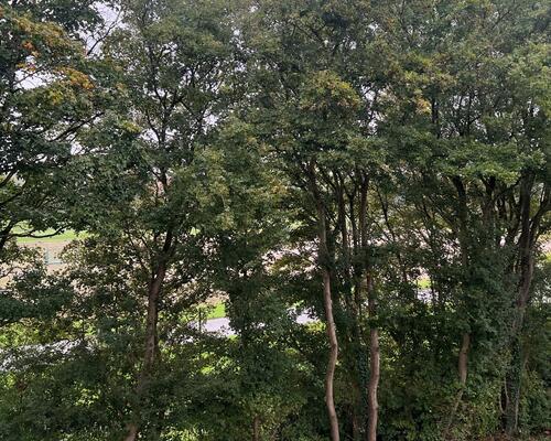 Kollegieværelse ved DJMX