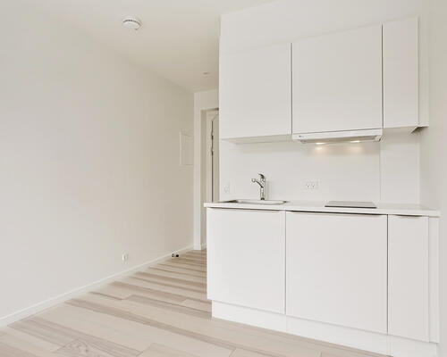 1 værelses lejlighed i Vejle