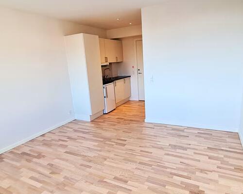 1 værelses lejlighed i Vejle