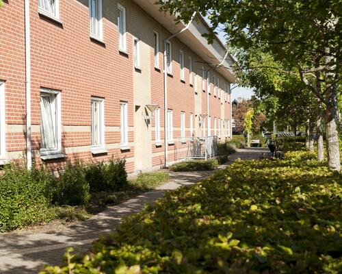 1 værelses lejlighed i Terndrup