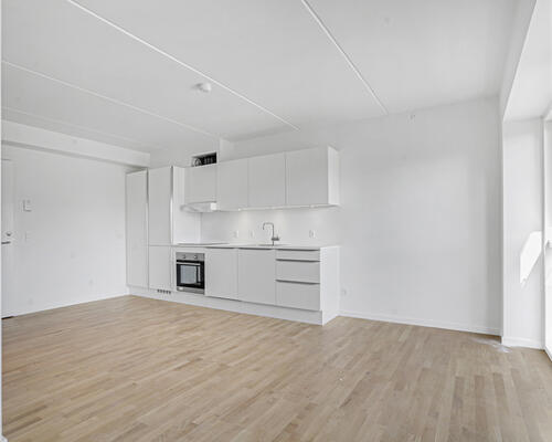 Fin 1-værelses lejlighed i Skejbyen