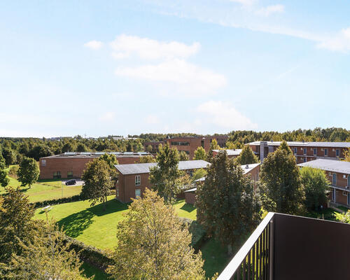 Fin 1-værelses lejlighed i Skejbyen