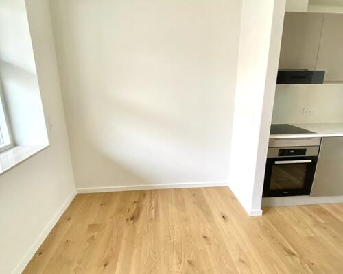 1 værelses – Munkebjergvænget 66, 1. lejl. 5 – Odense M