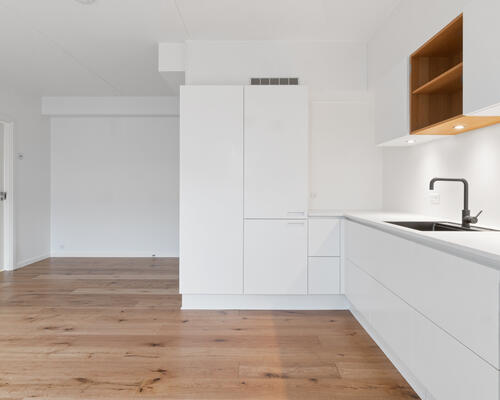 Moderne byliv med Botanisk Have som nabo