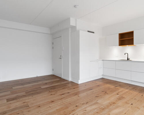 Moderne byliv med Botanisk Have som nabo