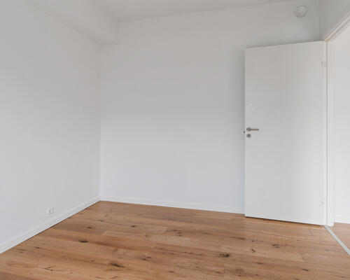 Moderne byliv med Botanisk Have som nabo