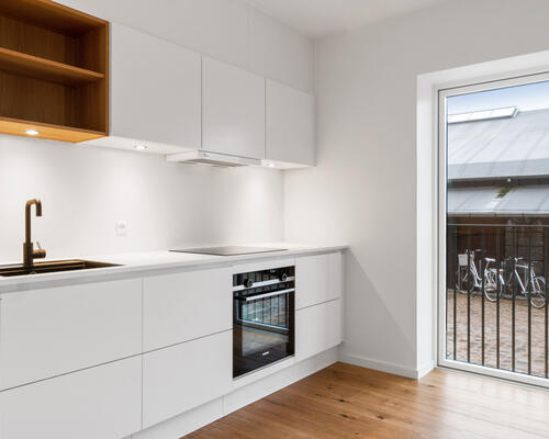 Moderne byliv med Botanisk Have som nabo