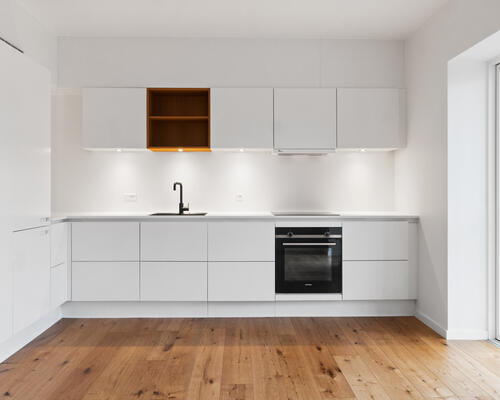 Moderne byliv med Botanisk Have som nabo