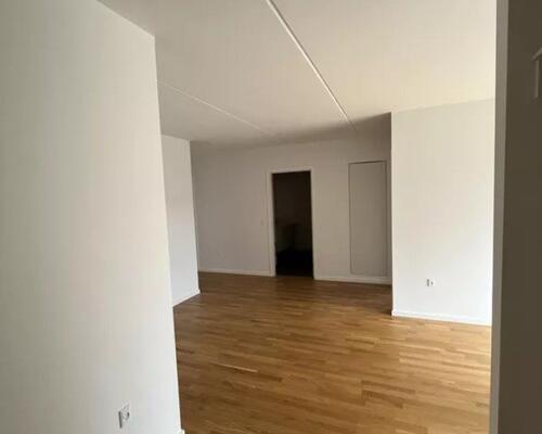 Lys 4-værelses med altan i hjertet af Borggade