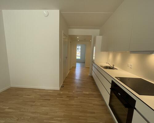 NY 3-VÆR. MED SOLRIG TERRASSE!