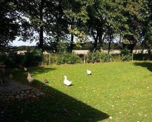 Bindingsværkshus i naturskønne omgivelser