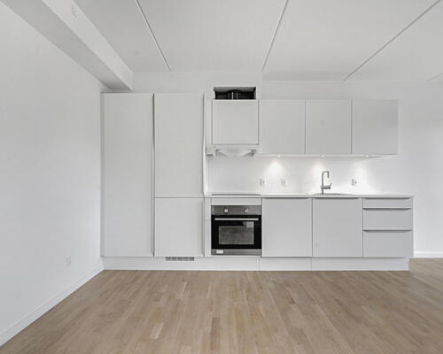 Fin 1-værelses lejlighed i Skejbyen