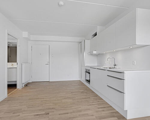 Fin 1-værelses lejlighed i Skejbyen