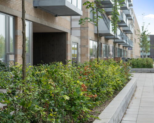 4 værelses lejlighed i Århus C