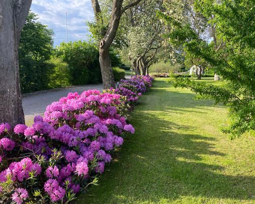 5 værelses hus i Farum