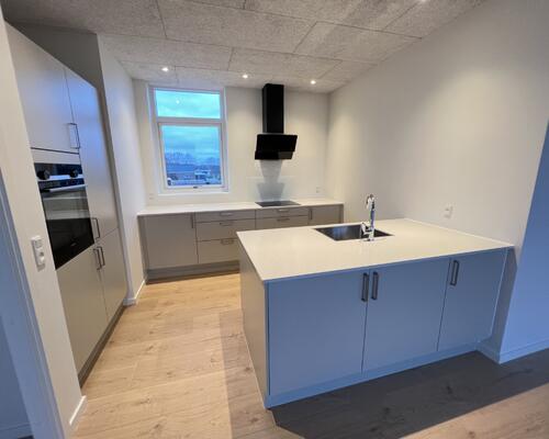 3 værelses hus i Viborg