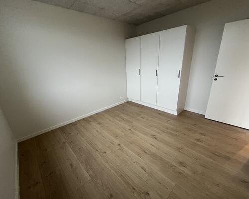 3 værelses hus i Viborg