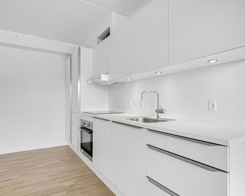 Fin 1-værelses lejlighed i Skejbyen