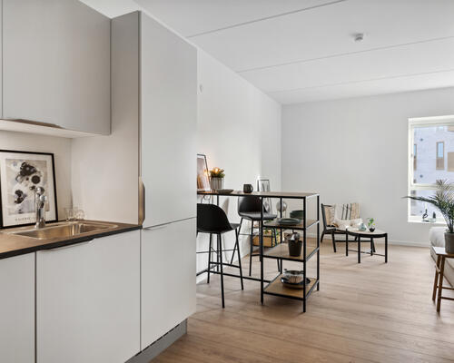 4 værelses hus i Viborg