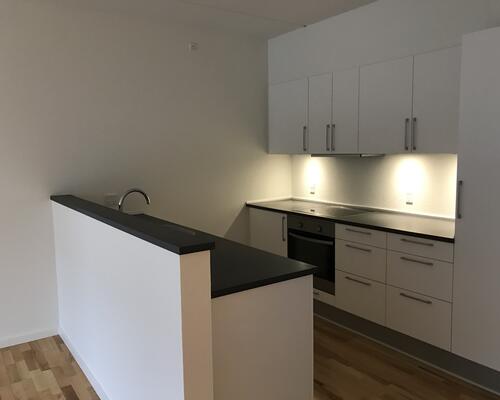 3 værelses lejlighed i Odense C