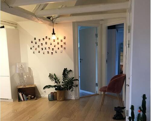 Lækker Penthouse i Aalborg C