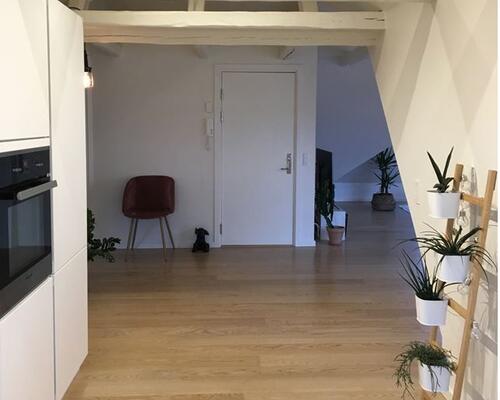 Lækker Penthouse i Aalborg C