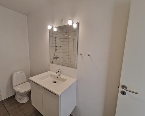 2 værelses lejlighed i Silkeborg