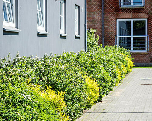 3 værelses lejlighed i Holstebro