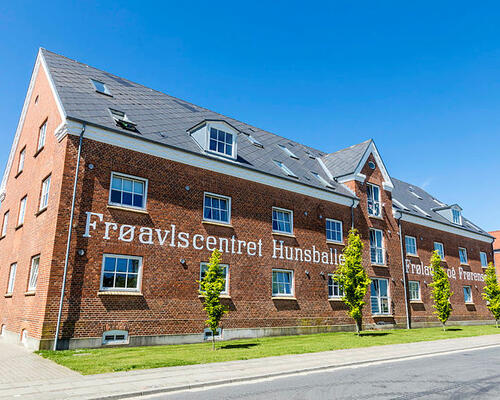 3 værelses lejlighed i Holstebro