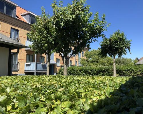 1 værelses lejlighed i Frederikshavn