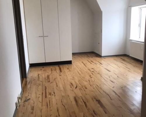 Rummelig 1-værelses lejlighed.